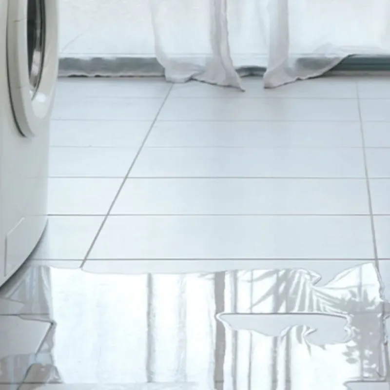 Appliance Leak Cleanup in West Liberty, WV