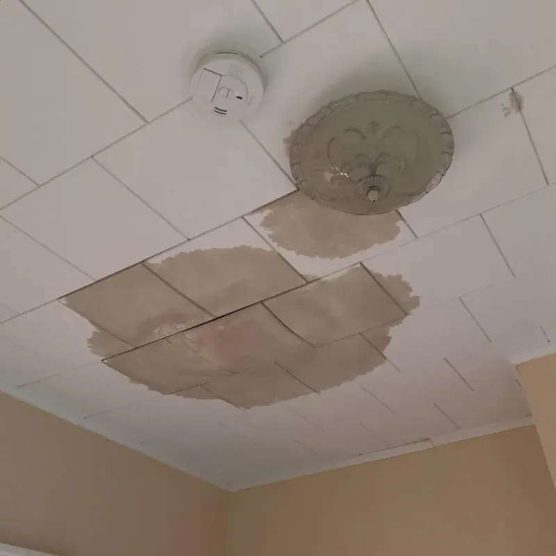 Ceiling Water Damage Repair in West Liberty, WV