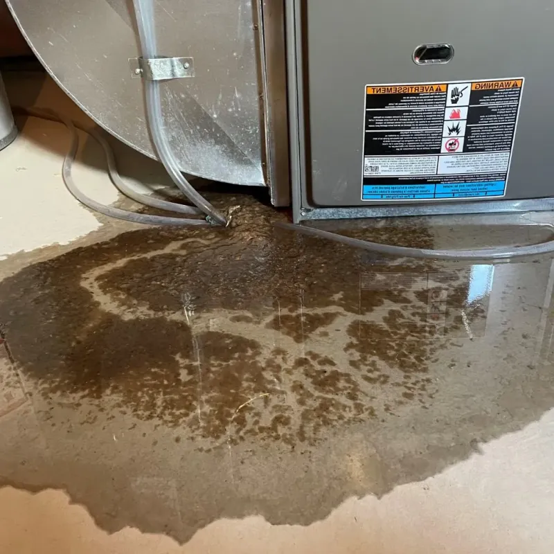 Pipe Burst and Leak Restoration in West Liberty, WV