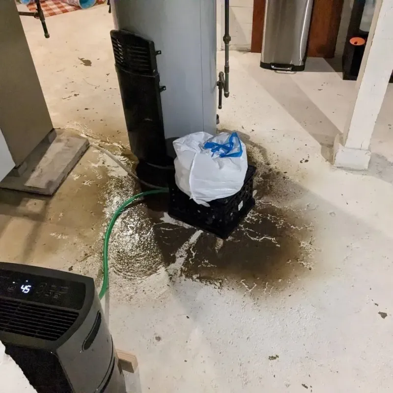 Sewage Backup Cleanup Service in West Liberty, WV